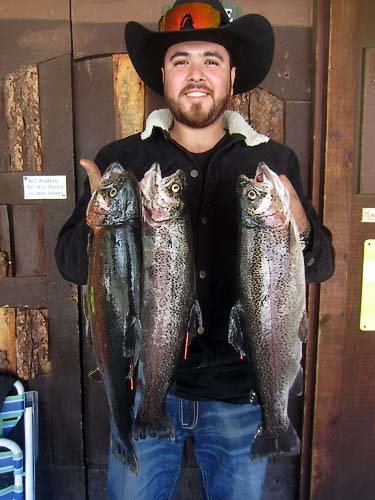 Brian Huerta